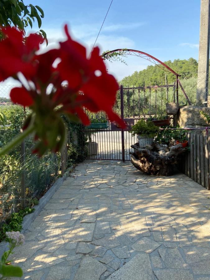 ValpaçosCasa Da Aldeia Da Avo住宿加早餐旅馆 外观 照片